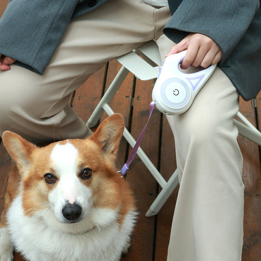 Dog Leash Retractable And Dog Collar Spotlight Automatic Pet Dog Cat